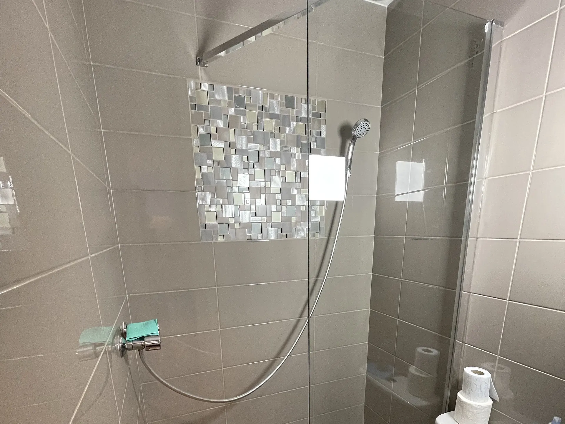 The second shower room: walk-in shower, WC and a mosaic border